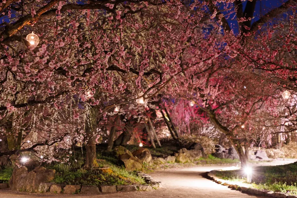 「KYOTO NIPPON FESTIVAL 2026 -時をこえ、華ひらく庭-」11月15日よりチケット発売開始！ 画像 5