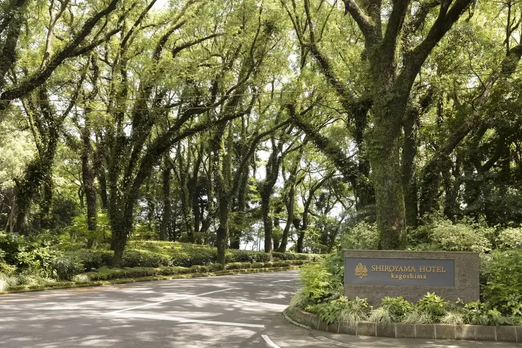 「美肌」「料理」で全国1位！「絶景」部門でも全国2位（九州1位）SHIROYAMA HOTEL kagoshimaが「温泉宿・ホテル総選挙2025」「温泉総選挙2025」で３つのタイトルを獲得～ 画像 9