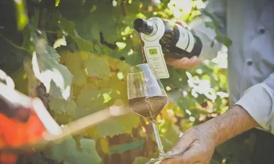 【シナグロ ORGANIC SALAD & CAFE そごう大宮】海外有機認証取得のオーガニックワイン・ビールを提供開始。 画像 3