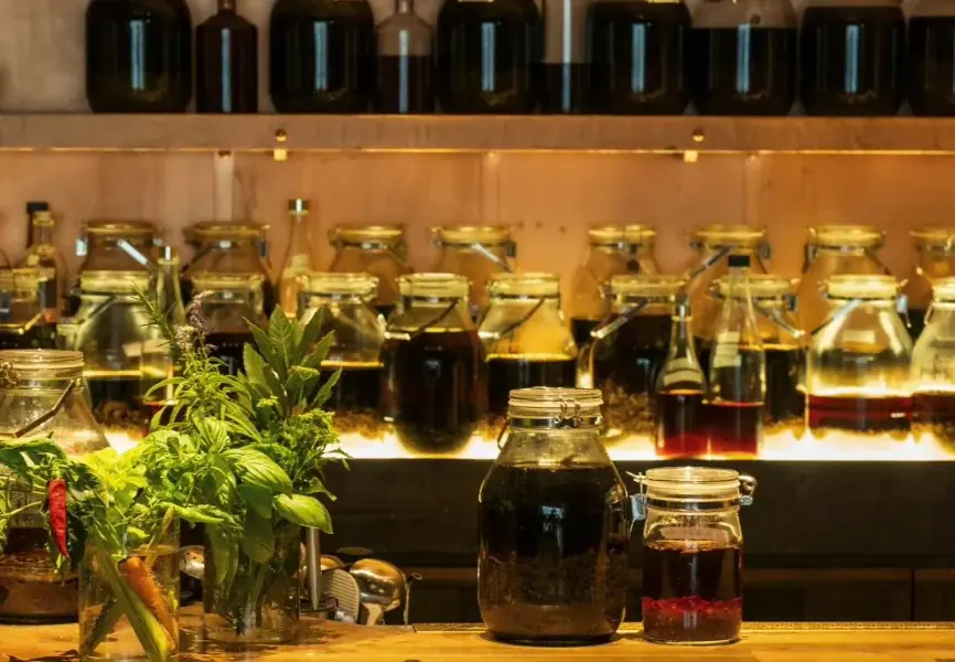 喫茶植物最高が原宿に開店