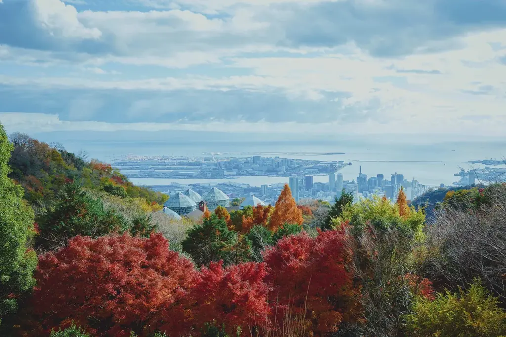 神戸の紅葉の名所「布引の紅葉」が見ごろです。秋色に彩るガーデンと紅葉が調和した情景や、ロープウェイの車窓から眺める壮大な景色を楽しめます。ライトアップされた紅葉と神戸の景色は新しい名所となっています。 画像 1