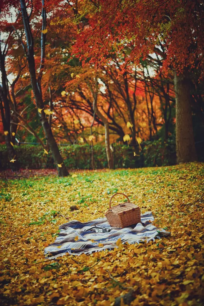 神戸の紅葉の名所「布引の紅葉」が見ごろです。秋色に彩るガーデンと紅葉が調和した情景や、ロープウェイの車窓から眺める壮大な景色を楽しめます。ライトアップされた紅葉と神戸の景色は新しい名所となっています。 画像 19