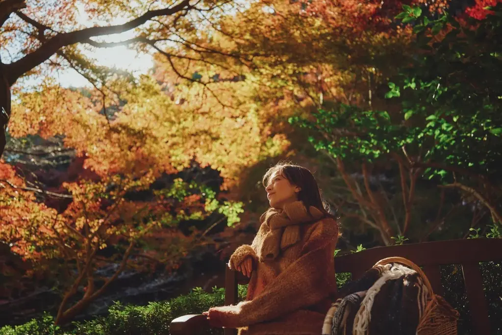 神戸の紅葉の名所「布引の紅葉」が見ごろです。秋色に彩るガーデンと紅葉が調和した情景や、ロープウェイの車窓から眺める壮大な景色を楽しめます。ライトアップされた紅葉と神戸の景色は新しい名所となっています。 画像 20