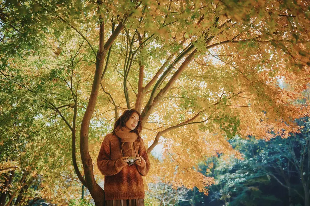 神戸の紅葉の名所「布引の紅葉」が見ごろです。秋色に彩るガーデンと紅葉が調和した情景や、ロープウェイの車窓から眺める壮大な景色を楽しめます。ライトアップされた紅葉と神戸の景色は新しい名所となっています。 画像 23