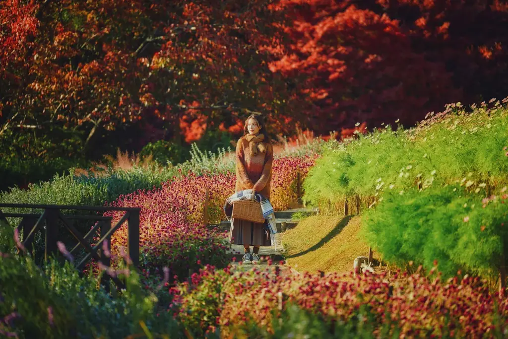 神戸の紅葉の名所「布引の紅葉」が見ごろです。秋色に彩るガーデンと紅葉が調和した情景や、ロープウェイの車窓から眺める壮大な景色を楽しめます。ライトアップされた紅葉と神戸の景色は新しい名所となっています。 画像 3