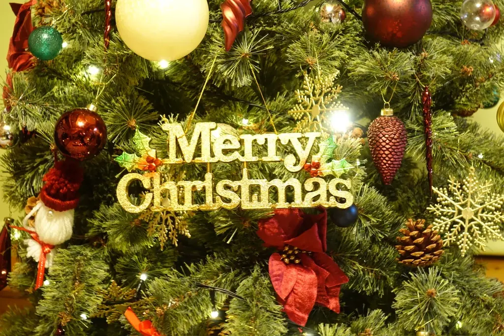 【兵庫県宍粟市】クリスマスをもっと楽しく！森のコテージに“みんなで泊まれるクリスマスルーム”が誕生 画像 5