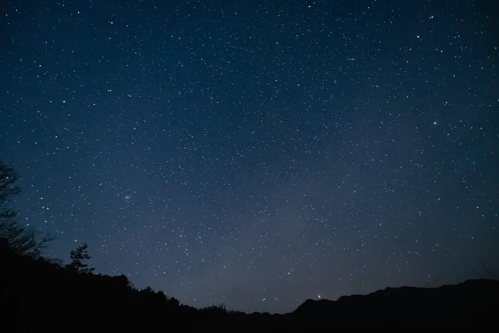 【兵庫県宍粟市】クリスマスをもっと楽しく！森のコテージに“みんなで泊まれるクリスマスルーム”が誕生 画像 6