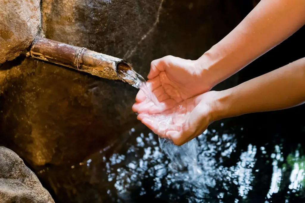 【兵庫県宍粟市】クリスマスをもっと楽しく！森のコテージに“みんなで泊まれるクリスマスルーム”が誕生 画像 7