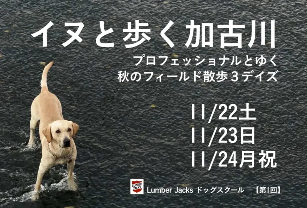 イヌと歩く加古川