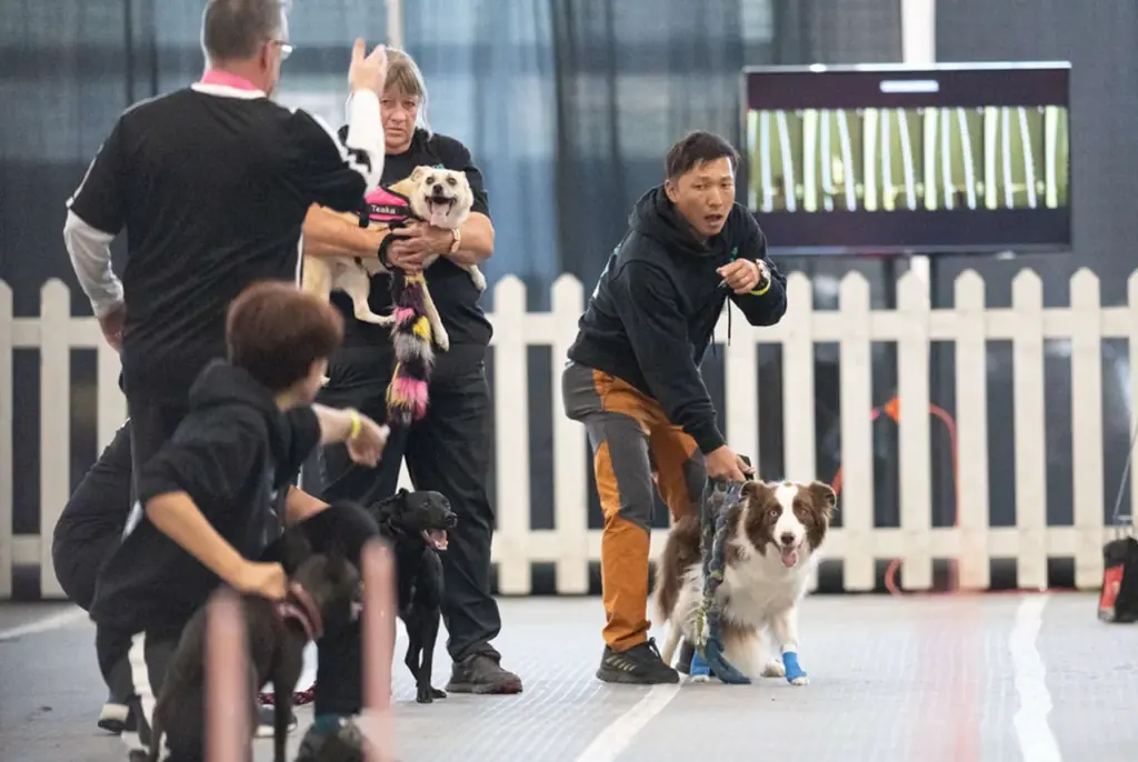 イヌと歩く加古川 画像 3