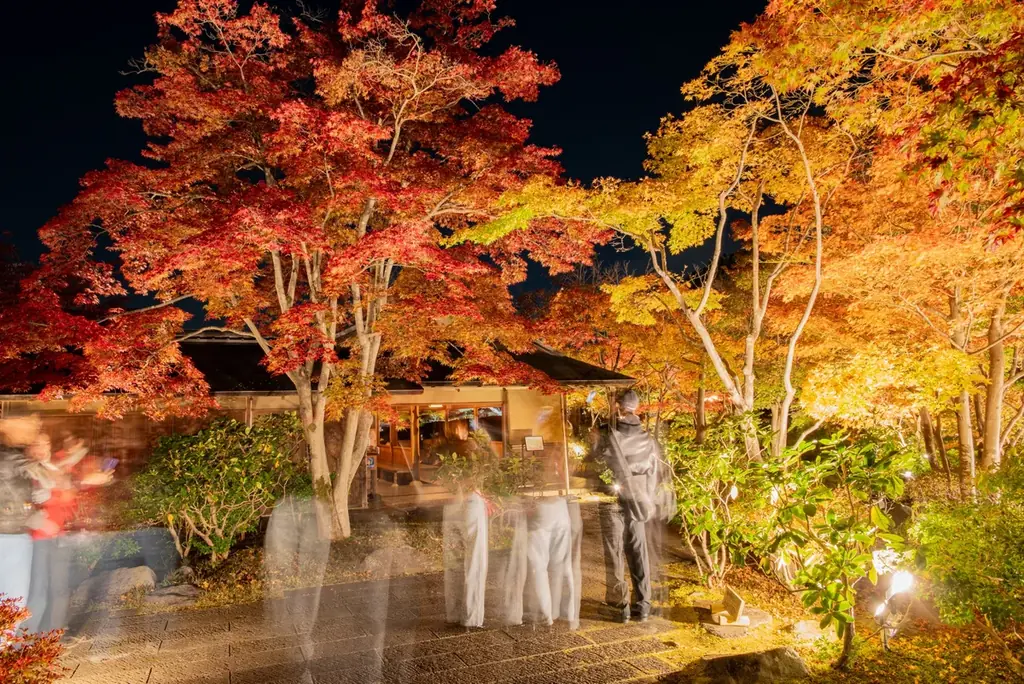 幻想的な夜の日本庭園が見頃【国営昭和記念公園】 画像 2