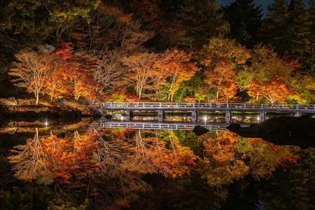 幻想的な夜の日本庭園が見頃【国営昭和記念公園】 画像 3