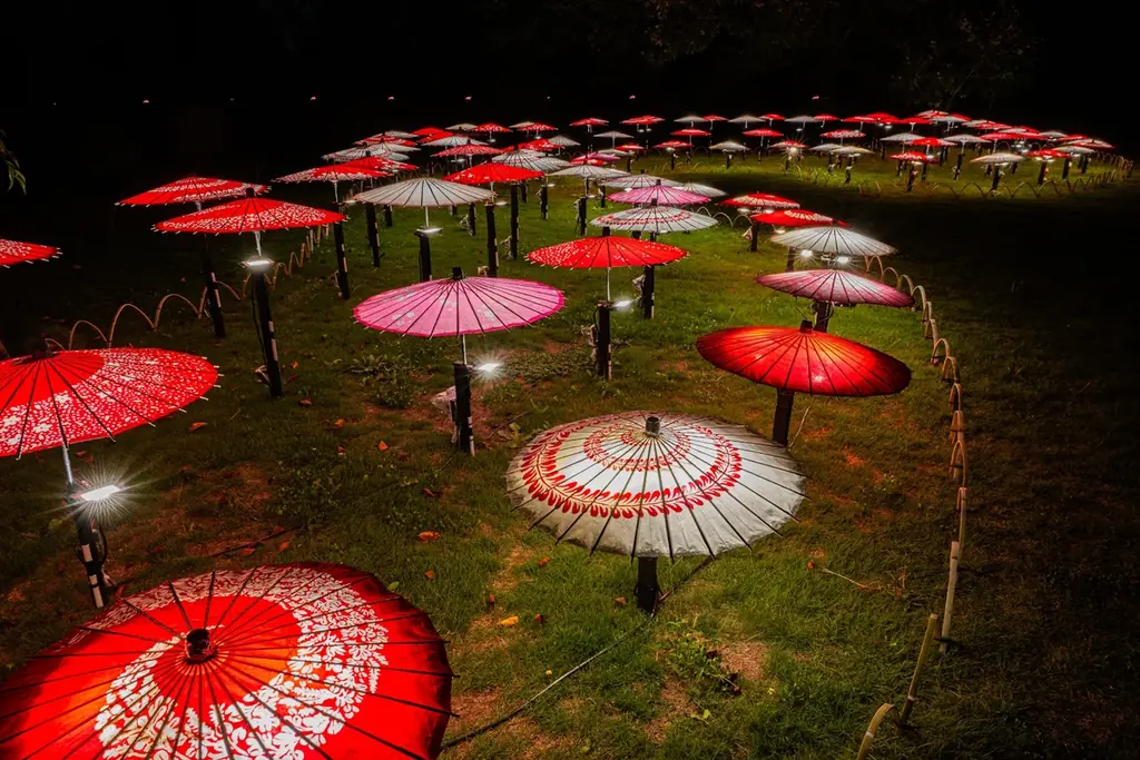 幻想的な夜の日本庭園が見頃【国営昭和記念公園】 画像 5