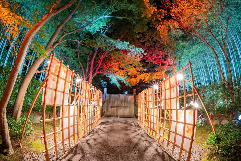 幻想的な夜の日本庭園が見頃【国営昭和記念公園】 画像 6