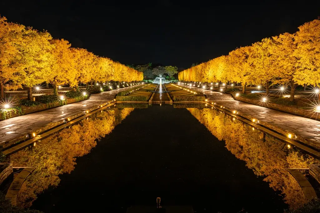 幻想的な夜の日本庭園が見頃【国営昭和記念公園】 画像 9