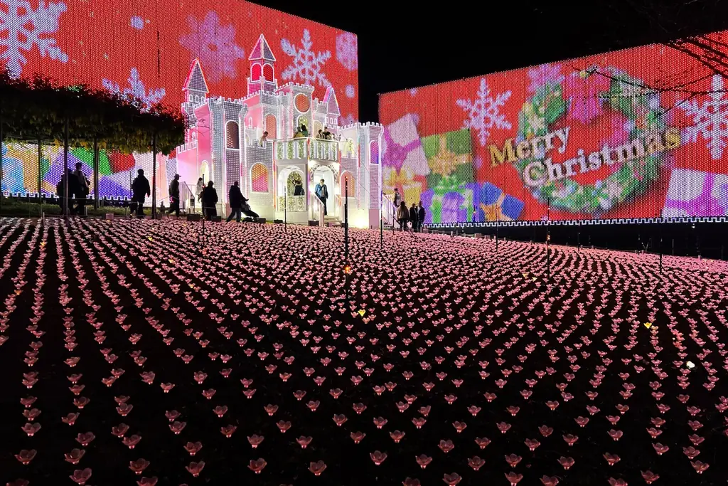 光の花の庭2025-26