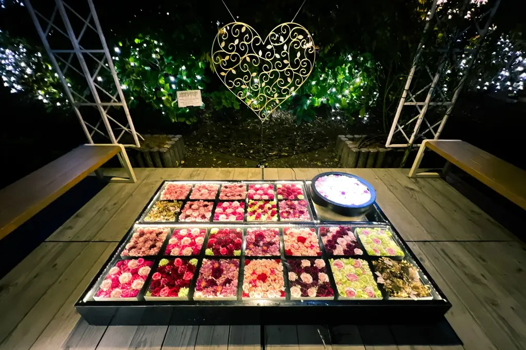 イルミネーションアワードで10年連続ランキング全国第1位の『あしかがフラワーパーク』で最高のクリスマスを！ 画像 3