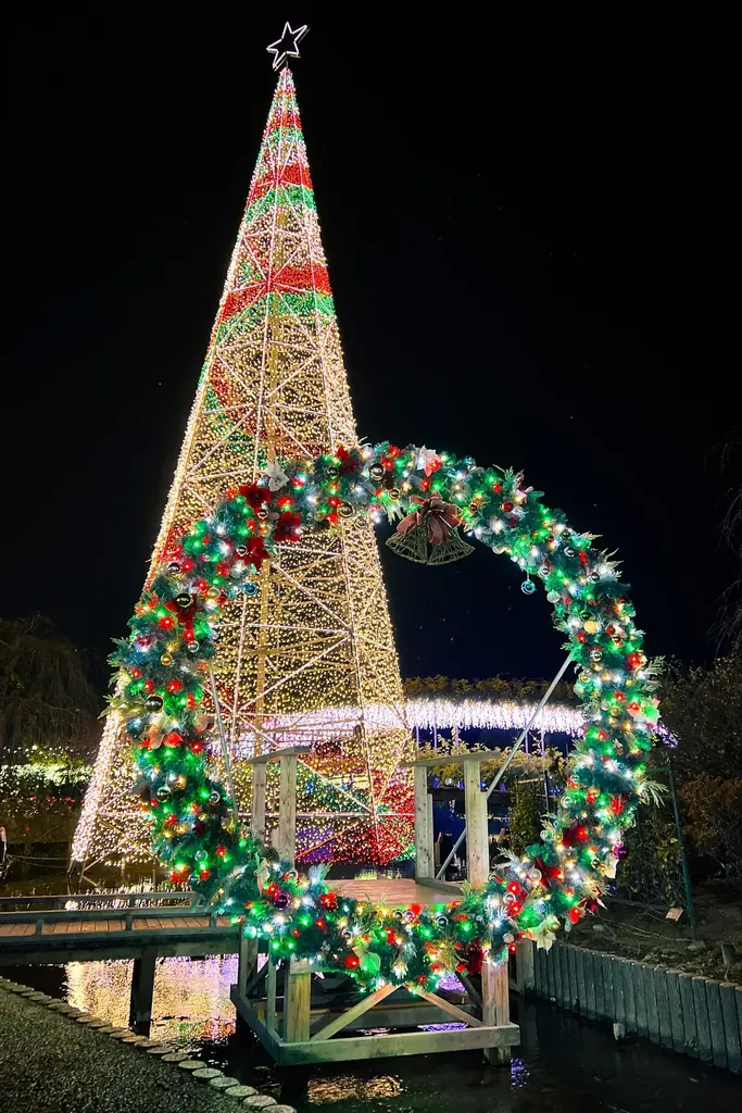 イルミネーションアワードで10年連続ランキング全国第1位の『あしかがフラワーパーク』で最高のクリスマスを！ 画像 6