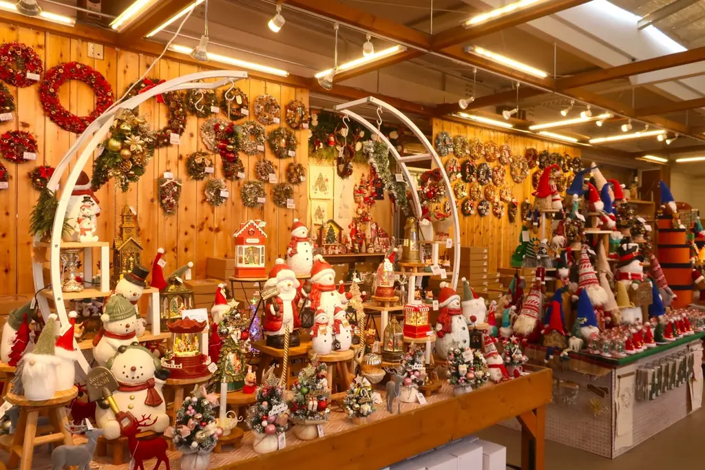 イルミネーションアワードで10年連続ランキング全国第1位の『あしかがフラワーパーク』で最高のクリスマスを！ 画像 7