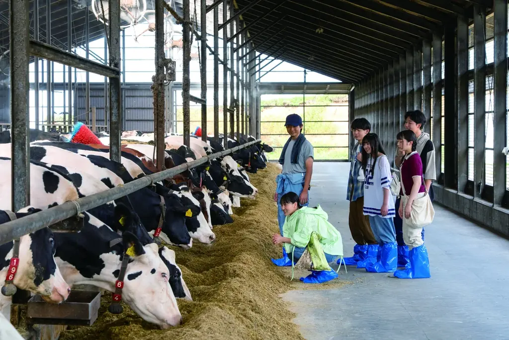 俳優 菅井友香さんが高校の調理部顧問役で北海道農業の魅力に触れる！ホクレンのWEBドラマ『ハイスクールキッチン～リラが出会ったサステナブル北海道農業×存続ギリギリの調理部～』 11月17日公開 画像 7