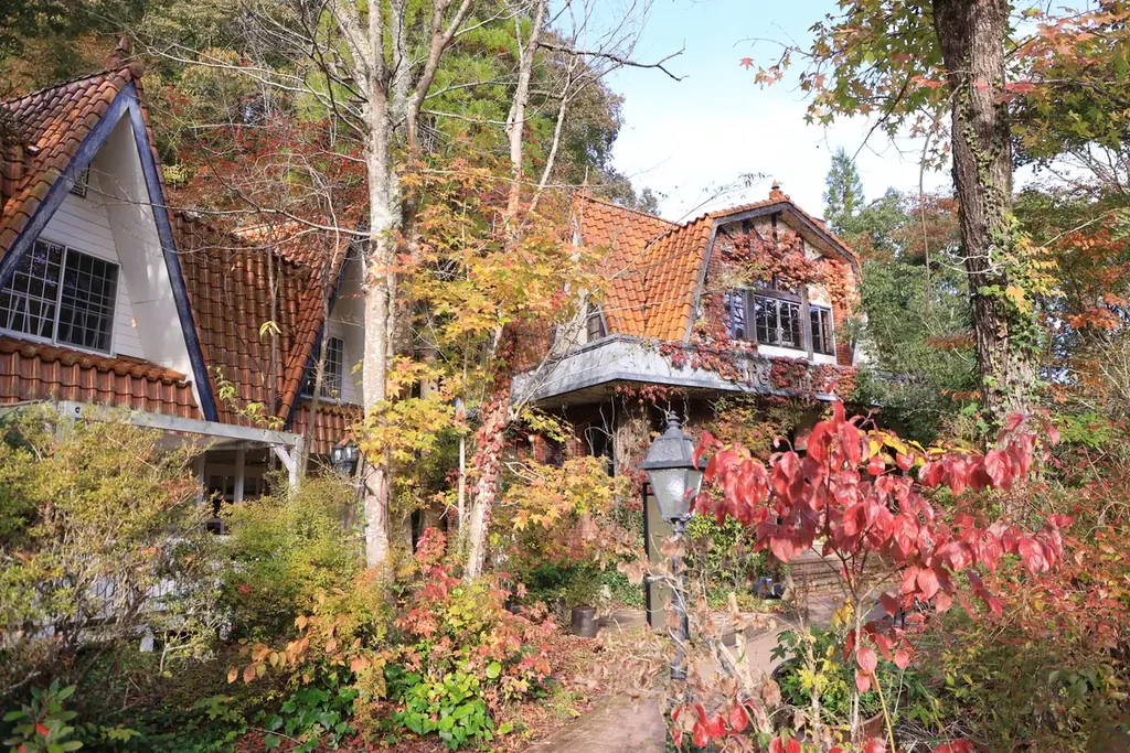 【広島／世羅】 クリスマスのテーブルコーディネートに　クリスマスツリーやセンターピースを作ろう《森と花の絵本ミュージアムGardenLei》でワークショップ開催 画像 13