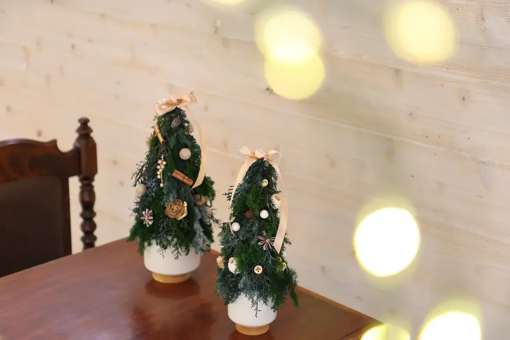 【広島／世羅】 クリスマスのテーブルコーディネートに　クリスマスツリーやセンターピースを作ろう《森と花の絵本ミュージアムGardenLei》でワークショップ開催 画像 2