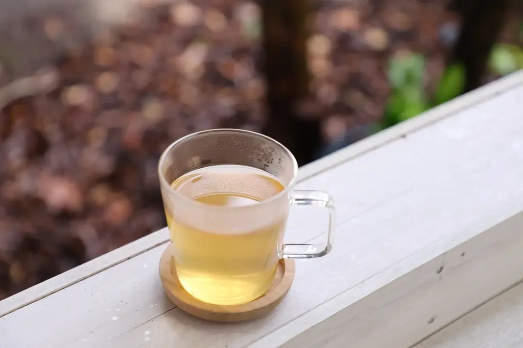 【広島／世羅】 クリスマスのテーブルコーディネートに　クリスマスツリーやセンターピースを作ろう《森と花の絵本ミュージアムGardenLei》でワークショップ開催 画像 9