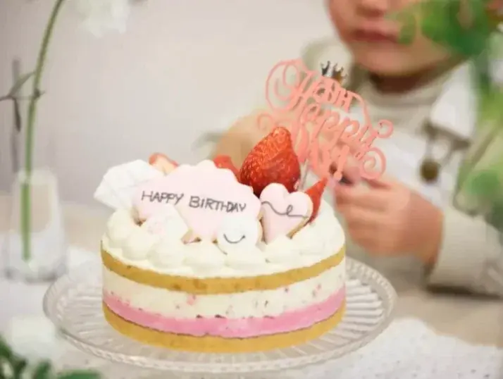 ヴィーガンパティスリー hal okada にて、EC限定・数量限定で2種類のクリスマスケーキの予約販売を開始！ 画像 9