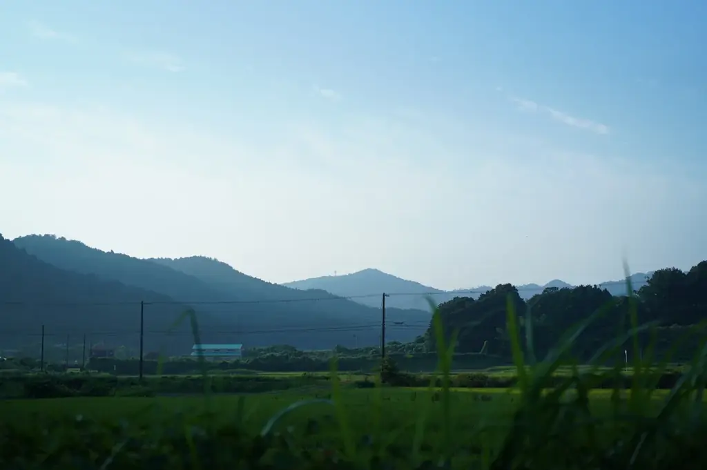 京丹後“サウナ旅”の終着地！京丹後・久美浜に、三棟すべて専用サウナ付きの古民家ホテル「SAUNA&CURRY URI 京丹後」が誕生。サウナとスパイスカレーで、ととのい尽くすサウナ旅を。 画像 11