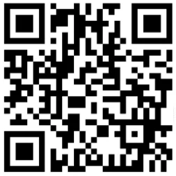 ダイナム、スケートボード・ストリートの世界大会へ協賛「ワールドスケートボードストリート2025 北九州 -グランドファイナル-」 画像 3