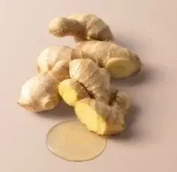 BOTANIST「スカルプブラシ」11月17日より新発売　地肌のめぐりケア*に着目したライン「ROOTH」を併用した頭皮クレンジング＆マッサージを、BOTANIST毛髪診断士が提案！ 画像 4