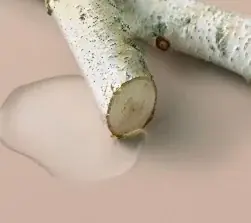 BOTANIST「スカルプブラシ」11月17日より新発売　地肌のめぐりケア*に着目したライン「ROOTH」を併用した頭皮クレンジング＆マッサージを、BOTANIST毛髪診断士が提案！ 画像 5