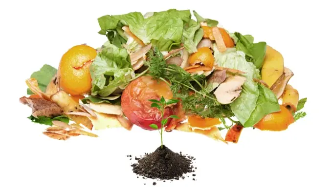 年間400万トンの食品ロスに挑む！持続可能な食の未来を支える技術が幕張メッセに集結 画像 3