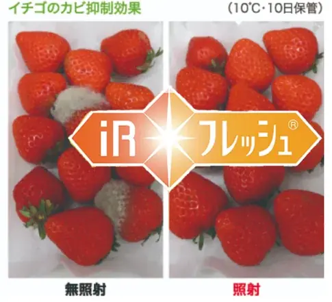 年間400万トンの食品ロスに挑む！持続可能な食の未来を支える技術が幕張メッセに集結 画像 5