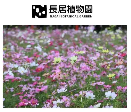 【11月24日】BOTANISTが大阪・長居植物園でイベント開催！秋の暮に心温まるホットティーやパロサントをプレゼント　新ラインSANTALのタッチアップブースも 画像 7