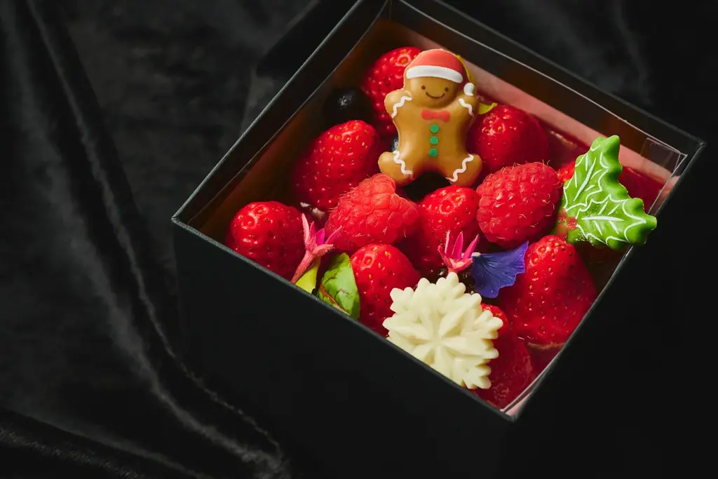 【JR西日本ホテルズ】11のホテルで、それぞれの「とっておきのクリスマス」を。クリスマスケーキ・宿泊・レストランで楽しむ、聖夜を彩るあなただけのひととき 画像 2