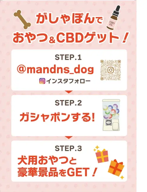 M&N’s CBDが「ジャパンわんこフェスタ2025」に出展！ 画像 2