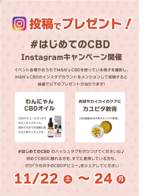 M&N’s CBDが「ジャパンわんこフェスタ2025」に出展！ 画像 3