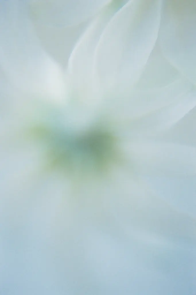 【5年ぶりの新商品】別府 鉄輪温泉発の湯治ブランドHAAから、香りのプロダクト「HAA for rest 間の香」シリーズが2026年1月22日に発売 画像 5