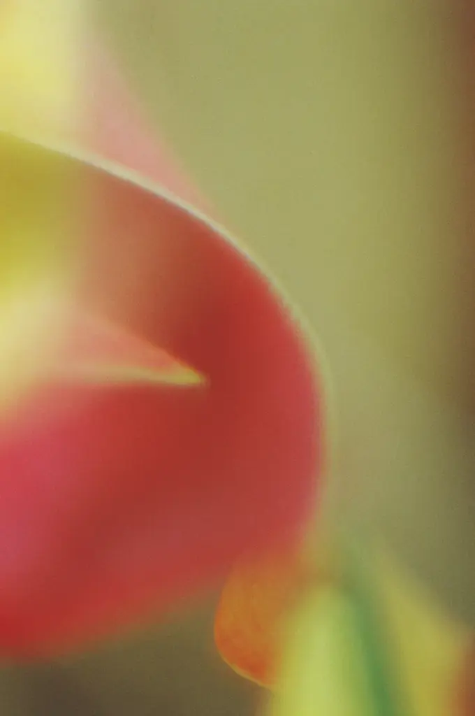 【5年ぶりの新商品】別府 鉄輪温泉発の湯治ブランドHAAから、香りのプロダクト「HAA for rest 間の香」シリーズが2026年1月22日に発売 画像 6