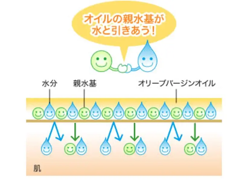 DHCから初の“セラムインローション”が登場！ 画像 3