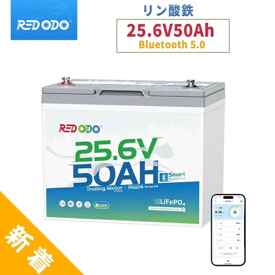 【Redodo楽天市場店限定】ブラックフライデーで、電力チャージ！ 画像 2