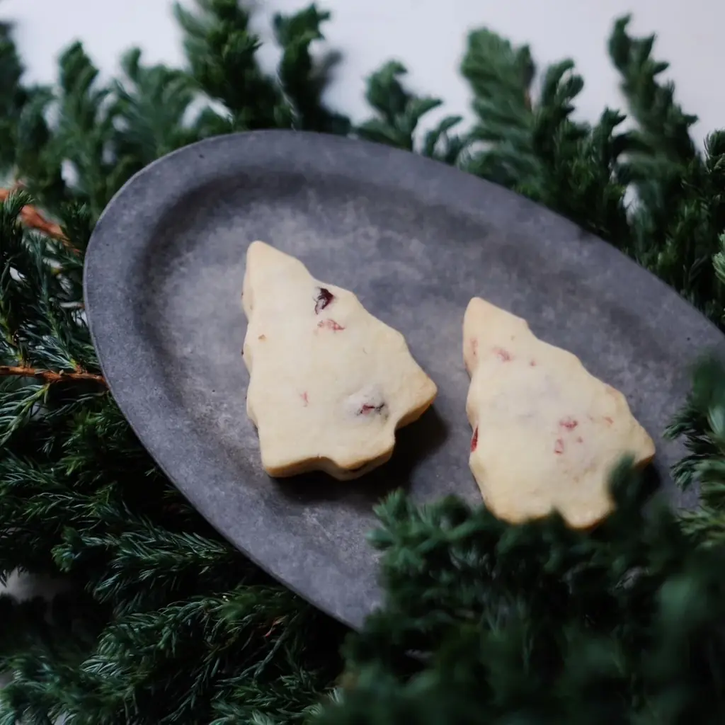 【広島T-SITE】「お菓子博 第3回～おかしなクリスマス」を12/7(日)に開催 画像 3