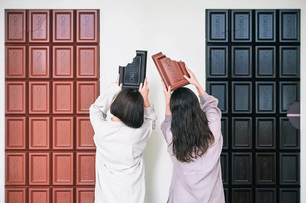 チョコレートCCN始動