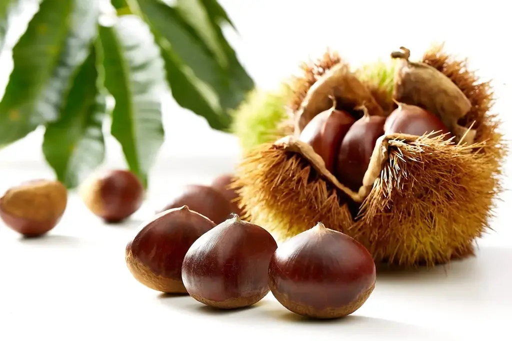 日本一の栗産地 茨城県 が誇る「笠間の栗」を贅沢に使用したスイーツを都内の有名パティスリーにてお楽しみいただけます！ 画像 5