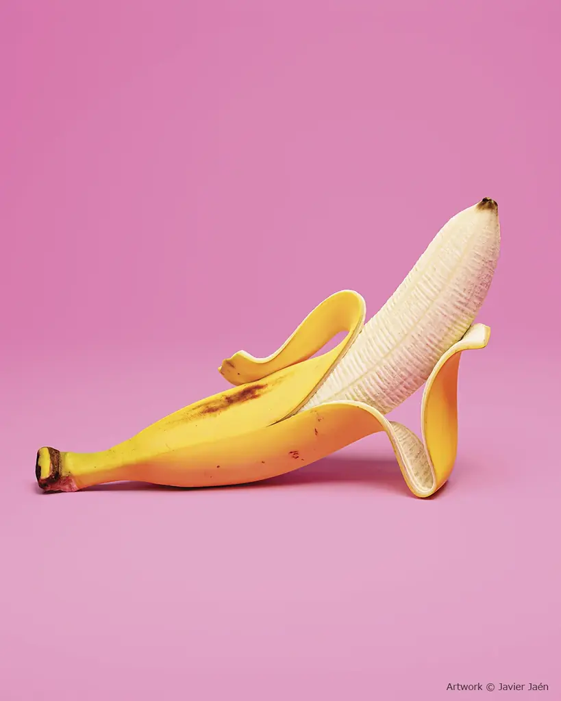 世界の第一線で活躍するスペイン人デザイナー／イラストレーター ハビエル・ハエンが東京で講演 画像 7