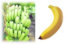 福島県4町の特産品を使ったお菓子販売「ふくしまスイーツフェア」 12月8日から5日間、「日本橋ふくしま館 MIDETTE」で開催 画像 14