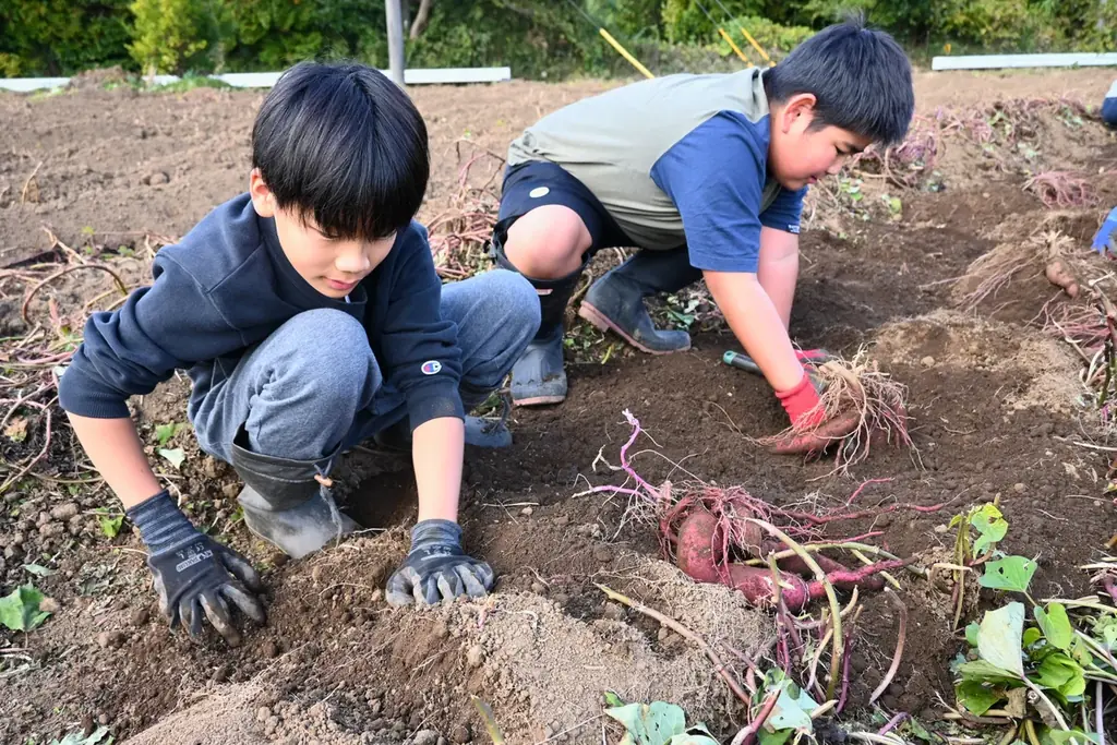 【開催レポート】子どもたちが“生きる力”を育んだ「農業×格闘技体験」 画像 3