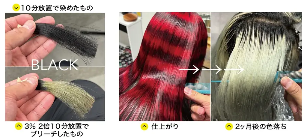 ブリーチ特化型サロン監修「ちゃんと黒。ちゃんと抜ける。だから使いやすい」次のカラーを邪魔しない黒色カラートリートメント『フェードブラック』11月21日 新発売 画像 2
