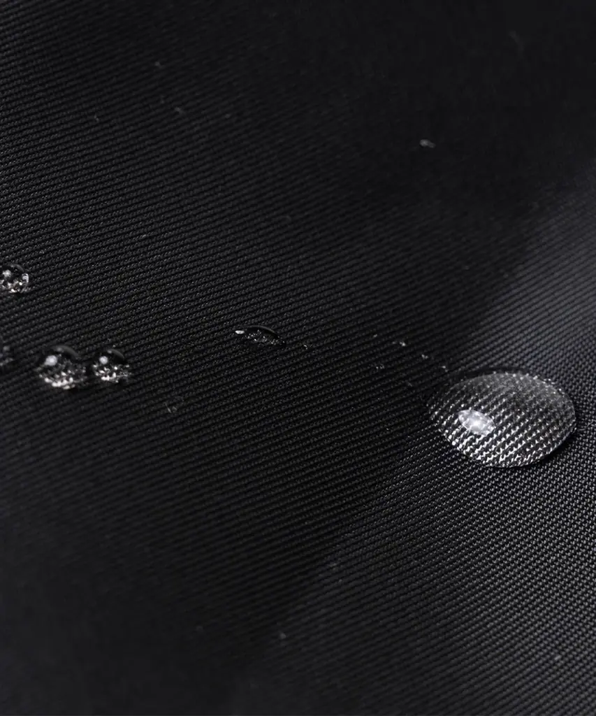 池田真子さん出演｜11/21(19:00)よりコラボリュック発売記念・インスタライブ開催！ 画像 12